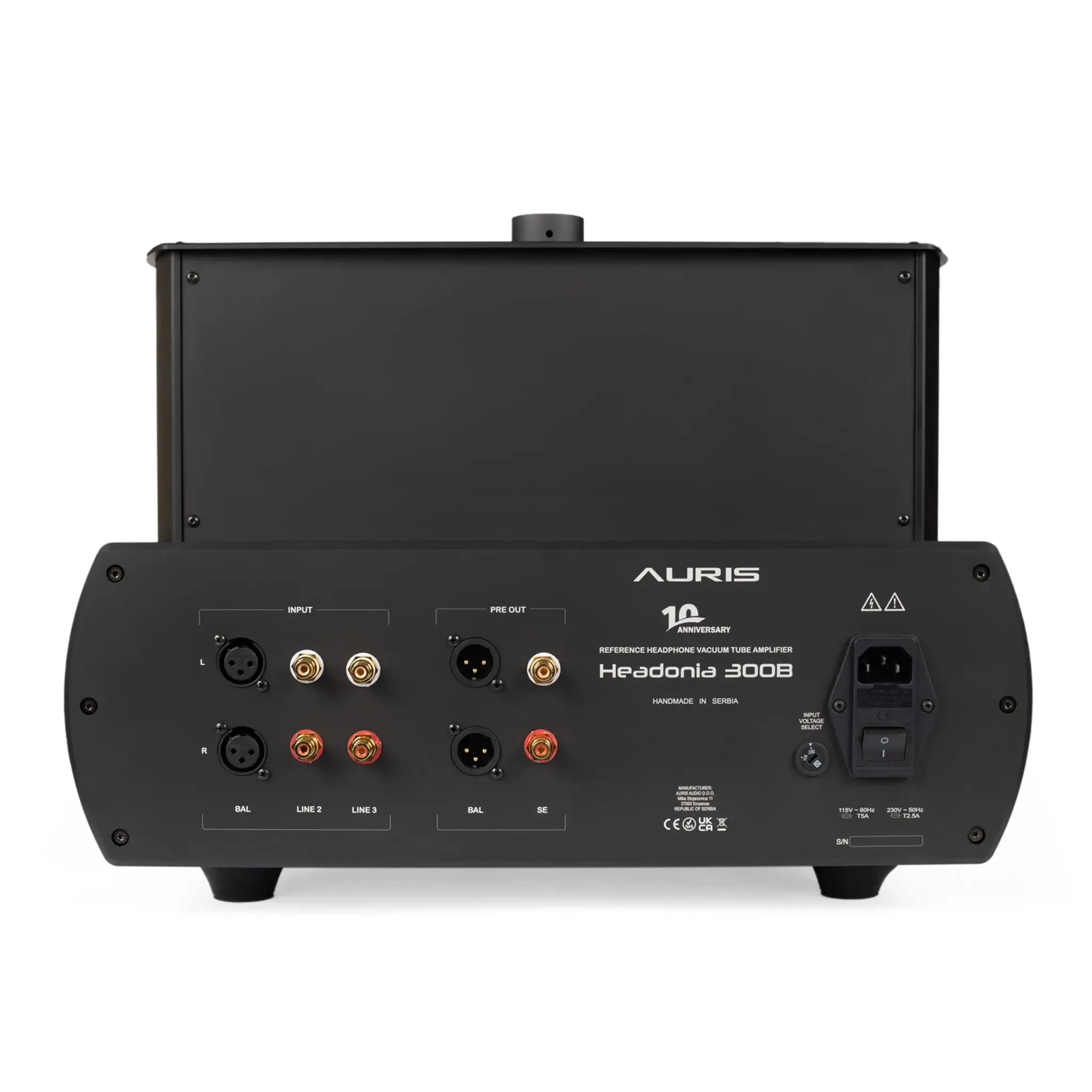 Auris Audio Headonia 300B | Desktop Tube Headphone Amplifier