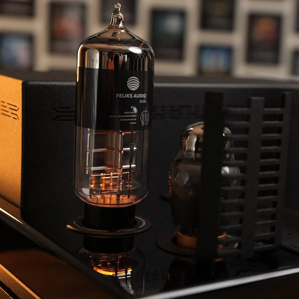 Feliks Audio Envy 25th Anniversary Edition