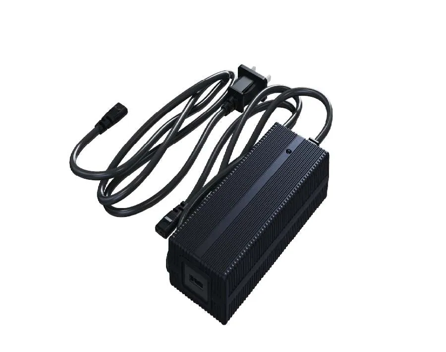 Go2 Battery charger